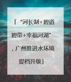 “河长制+碧道碧带+幸福河湖”，广州推进水环境提档升级