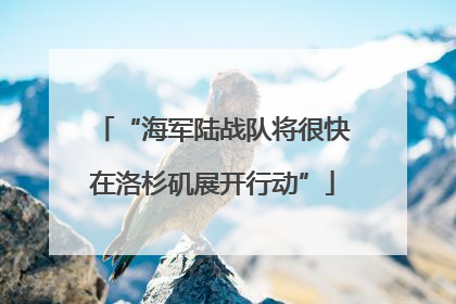 “海军陆战队将很快在洛杉矶展开行动”