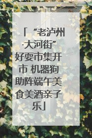 “老泸州·大河街”好耍市集开市 机器狗助阵端午美食美酒亲子乐
