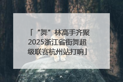 “舞”林高手齐聚 2025浙江省街舞超级联赛杭州站打响