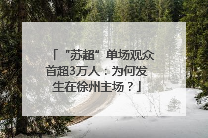 “苏超”单场观众首超3万人：为何发生在徐州主场？