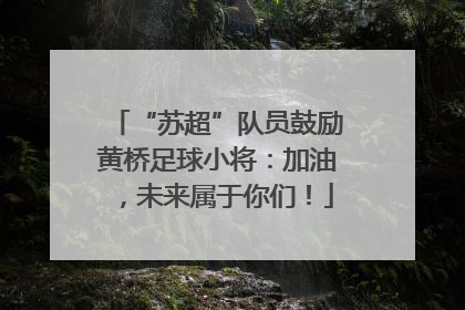 “苏超”队员鼓励黄桥足球小将：加油，未来属于你们！
