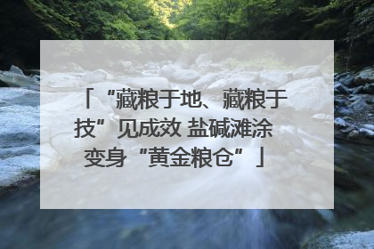 “藏粮于地、藏粮于技”见成效 盐碱滩涂变身“黄金粮仓”