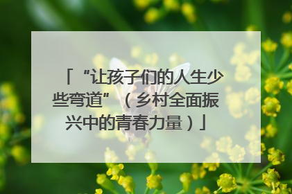 “让孩子们的人生少些弯道”（乡村全面振兴中的青春力量）
