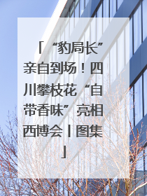 “豹局长”亲自到场！四川攀枝花“自带香味”亮相西博会丨图集
