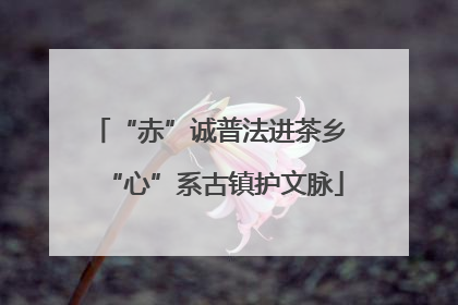 “赤”诚普法进茶乡 “心”系古镇护文脉