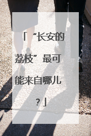 “长安的荔枝”最可能来自哪儿？