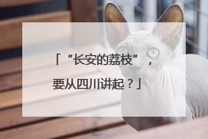 “长安的荔枝”，要从四川讲起？