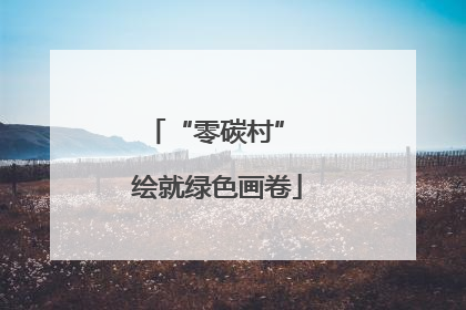 “零碳村” 绘就绿色画卷