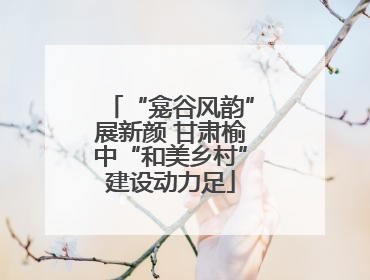 “龛谷风韵”展新颜 甘肃榆中“和美乡村”建设动力足