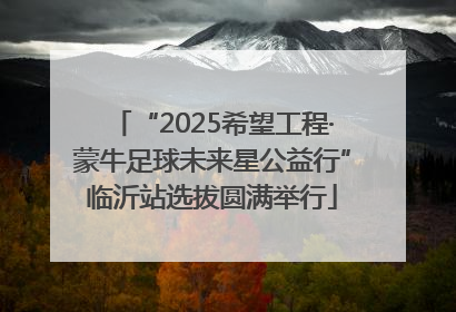 “2025希望工程·蒙牛足球未来星公益行”临沂站选拔圆满举行