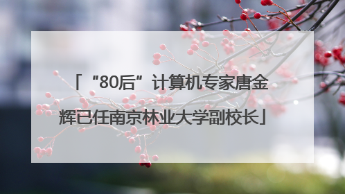 “80后”计算机专家唐金辉已任南京林业大学副校长