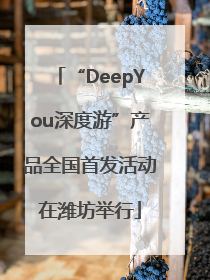 “DeepYou深度游”产品全国首发活动在潍坊举行
