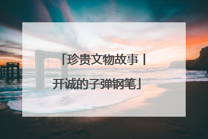 珍贵文物故事丨开诚的子弹钢笔