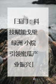 玉门：科技赋能戈壁绿洲 小院引领蜜瓜产业振兴