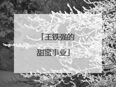 王铁强的甜蜜事业