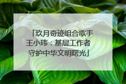 玖月奇迹组合歌手王小玮：基层工作者守护中华文明曙光