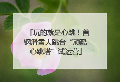 玩的就是心跳！首钢滑雪大跳台“顽酷心跳塔”试运营