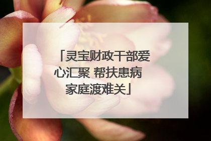 灵宝财政干部爱心汇聚 帮扶患病家庭渡难关