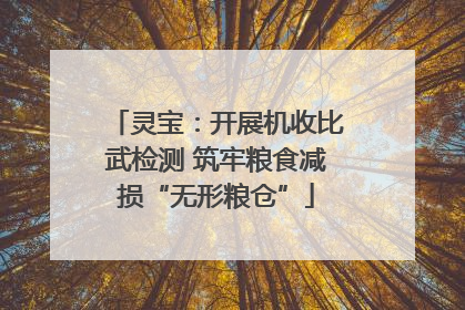 灵宝：开展机收比武检测 筑牢粮食减损“无形粮仓”
