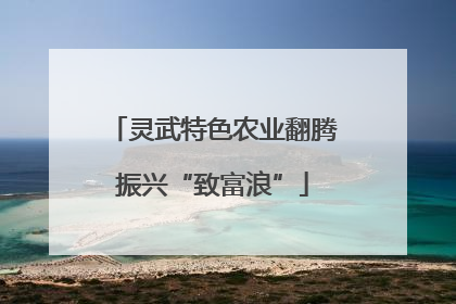 灵武特色农业翻腾振兴“致富浪”