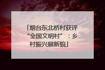 烟台东北桥村获评“全国文明村”：乡村振兴展新貌