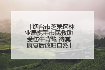 烟台市芝罘区林业局携手市民救助受伤牛背鹭 待其康复后放归自然