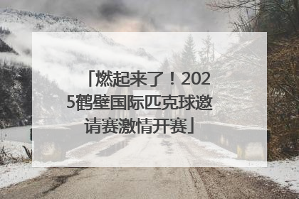 燃起来了！2025鹤壁国际匹克球邀请赛激情开赛
