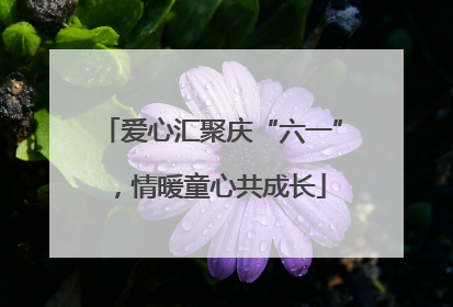 爱心汇聚庆“六一”，情暖童心共成长