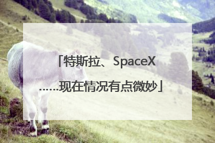 特斯拉、SpaceX……现在情况有点微妙
