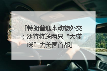 特朗普迎来动物外交：沙特将送两只“大猫咪”去美国首都