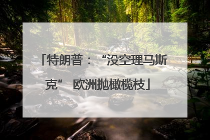 特朗普：“没空理马斯克” 欧洲抛橄榄枝