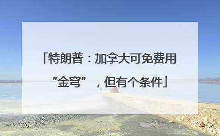 特朗普：加拿大可免费用“金穹”，但有个条件