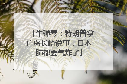 牛弹琴：特朗普拿广岛长崎说事，日本肺都要气炸了