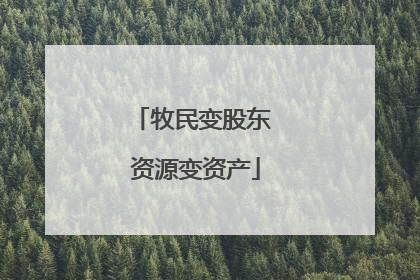 牧民变股东 资源变资产