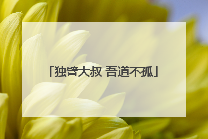 独臂大叔 吾道不孤