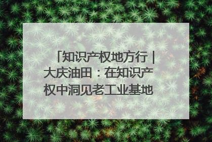 知识产权地方行｜大庆油田：在知识产权中洞见老工业基地的 “创新密码”