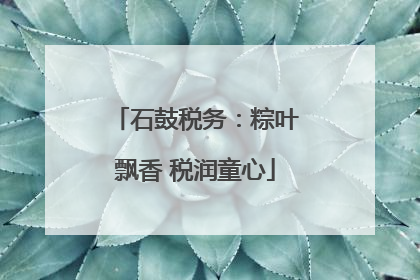 石鼓税务：粽叶飘香 税润童心
