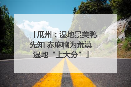 瓜州：湿地景美鸭先知 赤麻鸭为荒漠湿地“上大分”