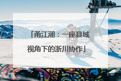 甬江潮：一座县域视角下的浙川协作