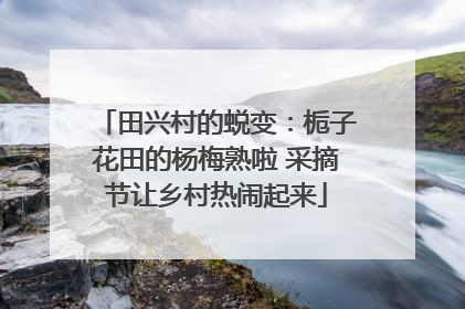 田兴村的蜕变：栀子花田的杨梅熟啦 采摘节让乡村热闹起来