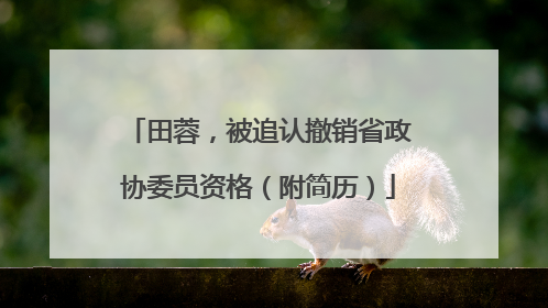 田蓉，被追认撤销省政协委员资格（附简历）
