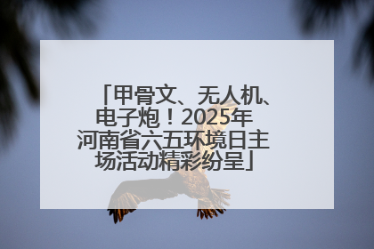 甲骨文、无人机、电子炮！2025年河南省六五环境日主场活动精彩纷呈