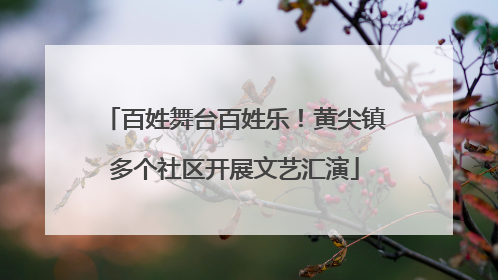 百姓舞台百姓乐！黄尖镇多个社区开展文艺汇演