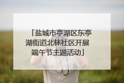 盐城市亭湖区东亭湖街道北林社区开展端午节主题活动