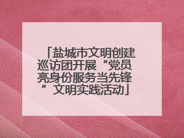 盐城市文明创建巡访团开展“党员亮身份服务当先锋”文明实践活动