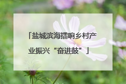 盐城滨海擂响乡村产业振兴“奋进鼓”