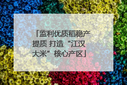 监利优质稻稳产提质 打造“江汉大米”核心产区