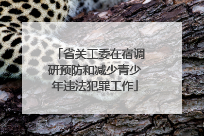 省关工委在宿调研预防和减少青少年违法犯罪工作