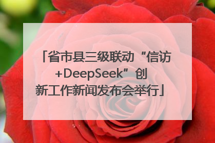 省市县三级联动“信访+DeepSeek”创新工作新闻发布会举行